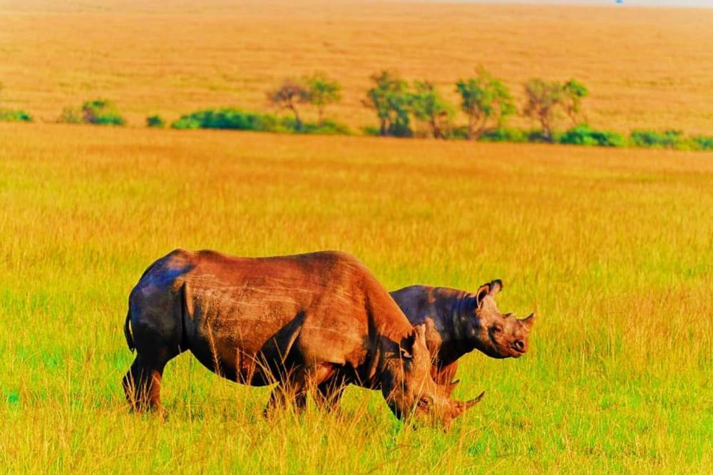 Bed and Breakfast Semadep Safari Camp Sekenani Exterior foto