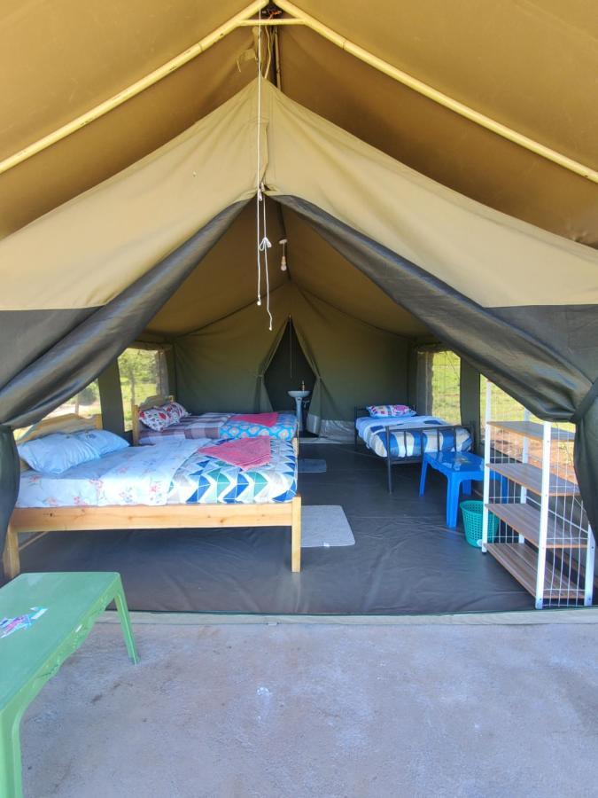 Bed and Breakfast Semadep Safari Camp Sekenani Exterior foto